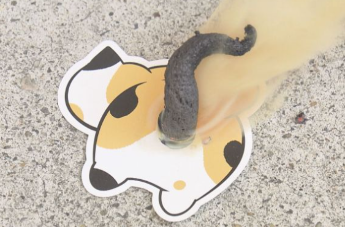 花火 ねこのうんち
