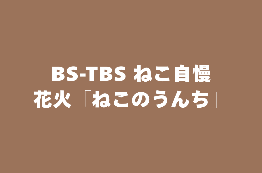 BS-TBS ねこ自慢