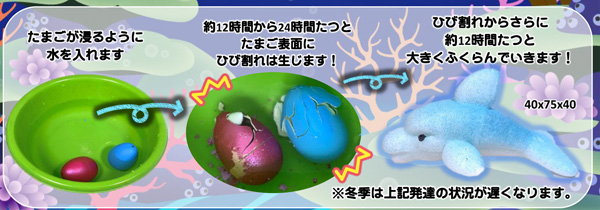 100景品 誕生 海洋動物 堀商店 景品 販促品 お祭り用品の激安販売