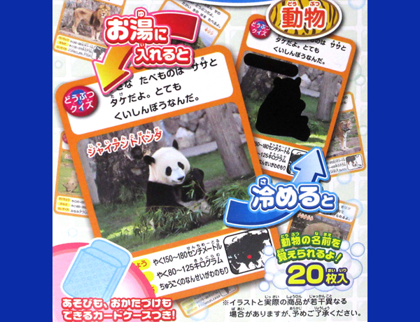 知育 おふろで学ぼう！カード図鑑 動物|【堀商店】景品・販促品 