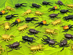 50景品　昆虫ミニフィギュアコレクションのサムネイル画像