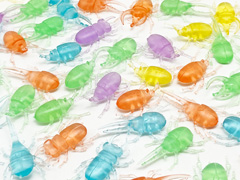 50景品　クリスタル昆虫ミニフィギュアコレク...のサムネイル画像