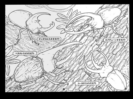 景品文具 ぬりえ 昆虫王国 堀商店 景品 販促品 お祭り用品の激安販売