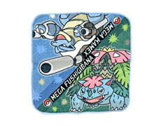 プチタオル　ポケモン　P5113-04(メガ...のサムネイル画像
