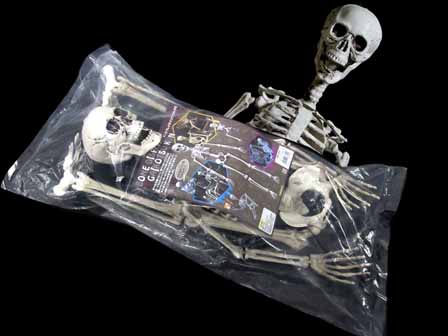 楽天市場】【送料無料】ハロウィン スケルトン フィドラーズ