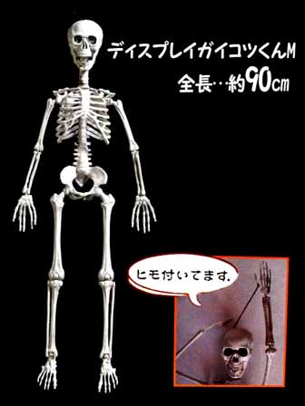 楽天市場】【送料無料】ハロウィン スケルトン フィドラーズ