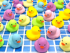 すくい人形　ぷかぷかカラフルアヒルちゃんのサムネイル画像